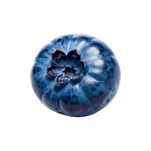 BlueBerry